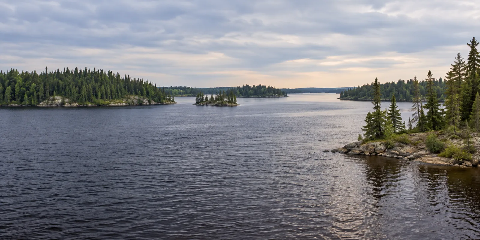 A broad tea-coloured reservoir bay with low spruce-covered islands beneath a pale morning sky.