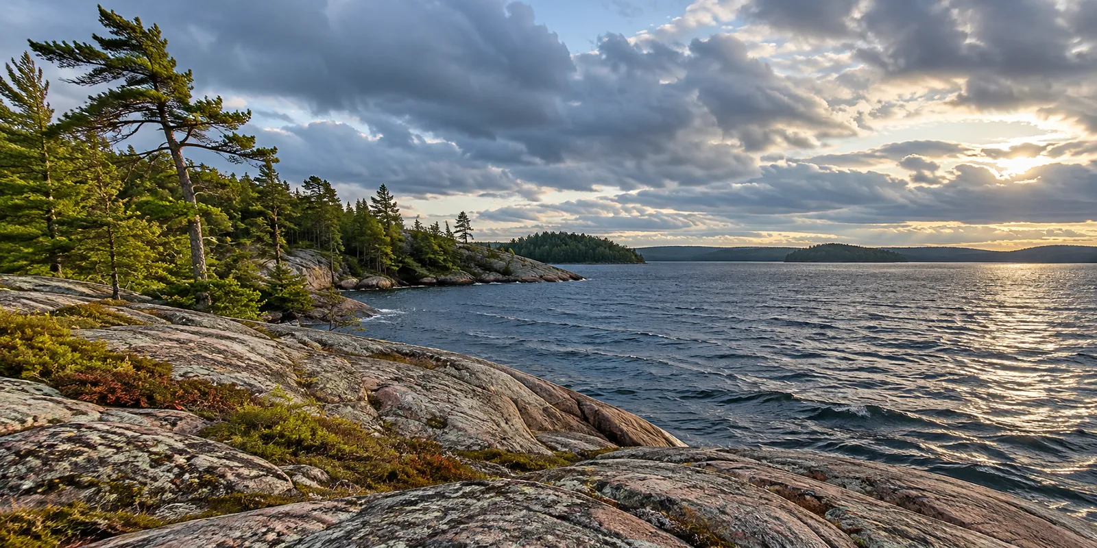 Wind-shaped pine and granite shore beside a northern lake